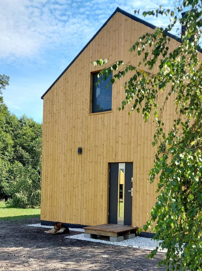 Villa Dom Przy Lesie Wielgie Exterior foto
